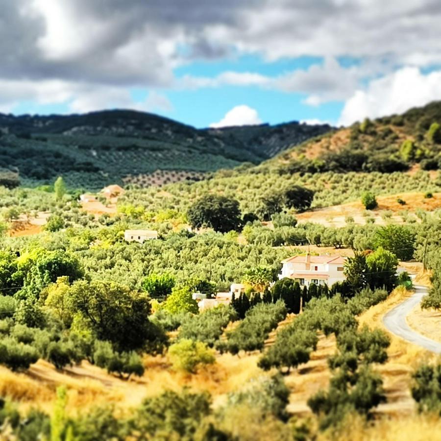 Cortijo Pennymaria Poolside Apartment Near Montefrio With Stunning Views Exteriér fotografie