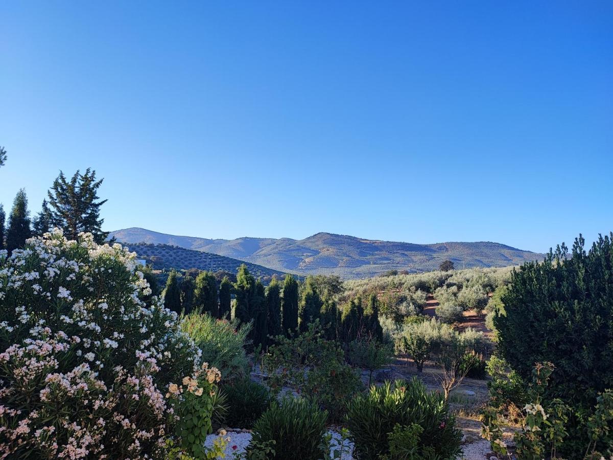 Cortijo Pennymaria Poolside Apartment Near Montefrio With Stunning Views Exteriér fotografie