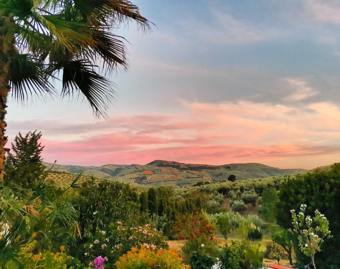 Cortijo Pennymaria Poolside Apartment Near Montefrio With Stunning Views Exteriér fotografie
